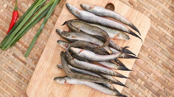 Bầu ăn cá kèo được không? Lợi ích của cá kèo đối với sức khỏe thai kỳ