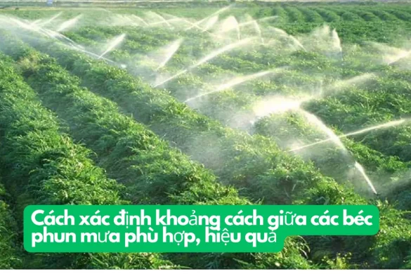 Cách xác định khoảng cách giữa các béc phun mưa phù hợp, hiệu quả