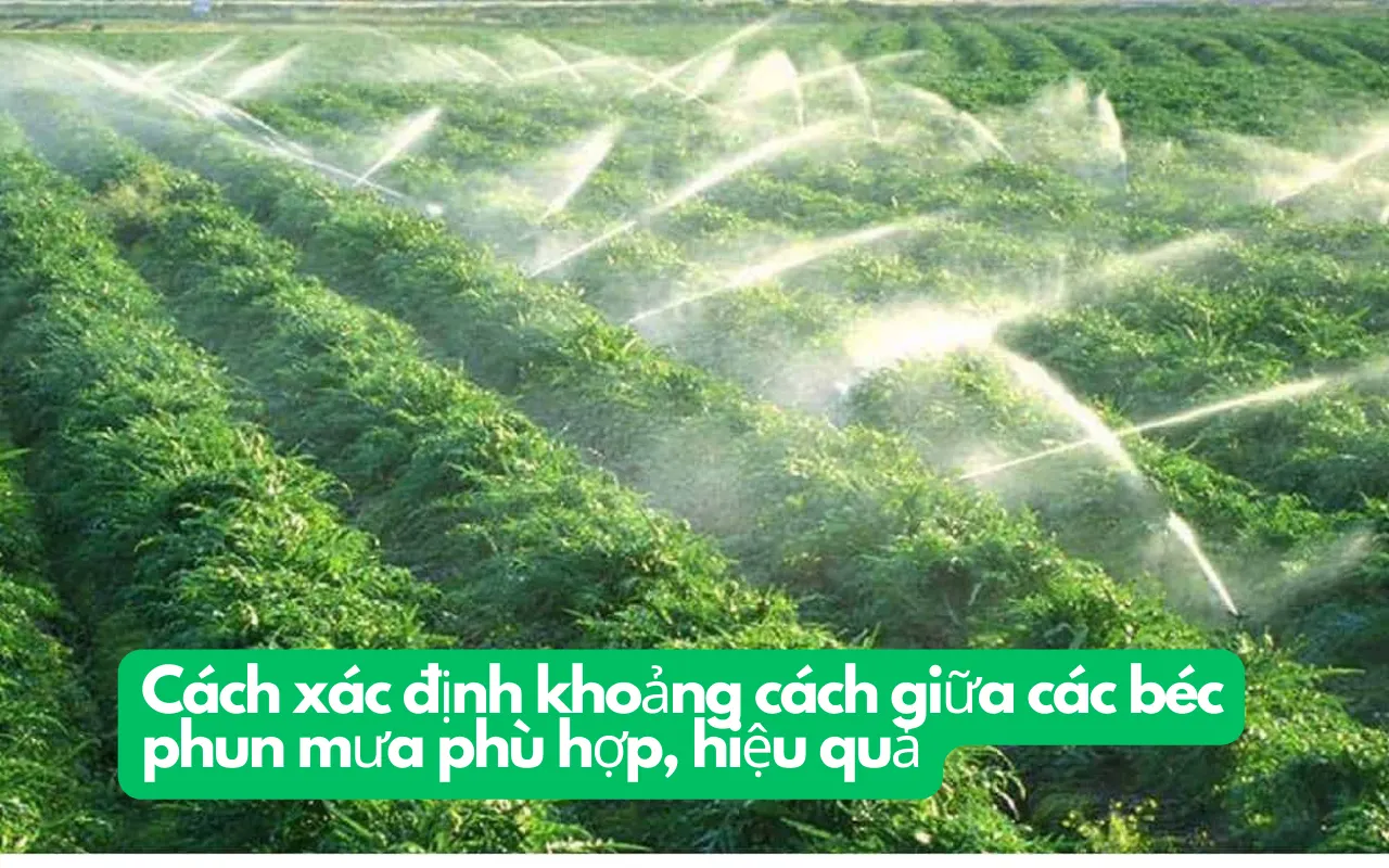 cach xac dinh khoang cach giua cac bec phun mua