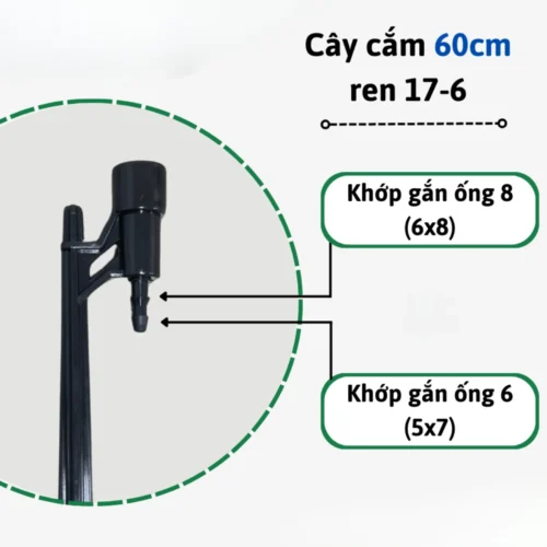 cay cam bec 60cm ren 17mm ra ong 6 8mm