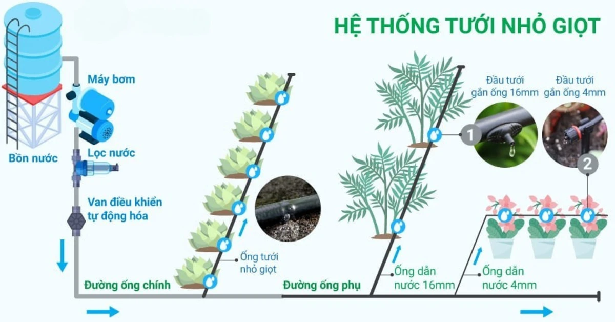 cac thanh phan cua he thong tuoi cay nho giot