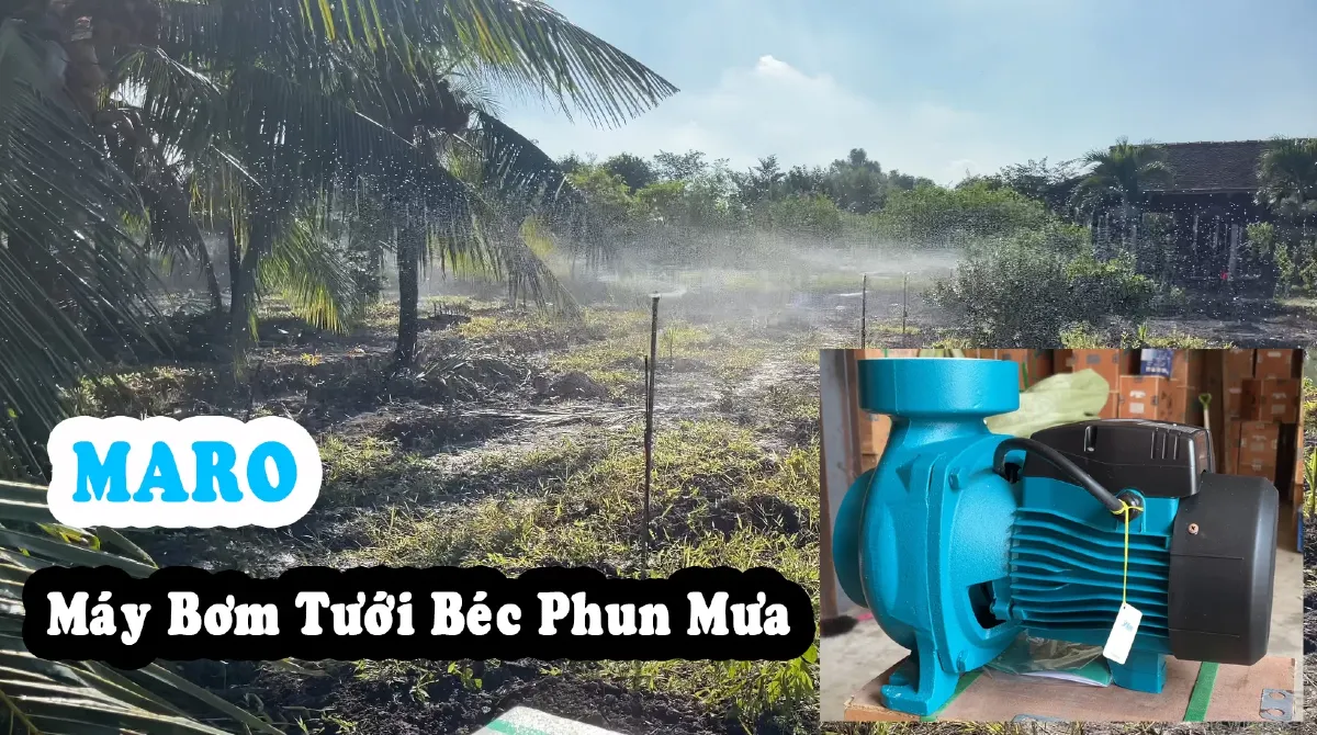 may bom cho he thong tuoi phun mua